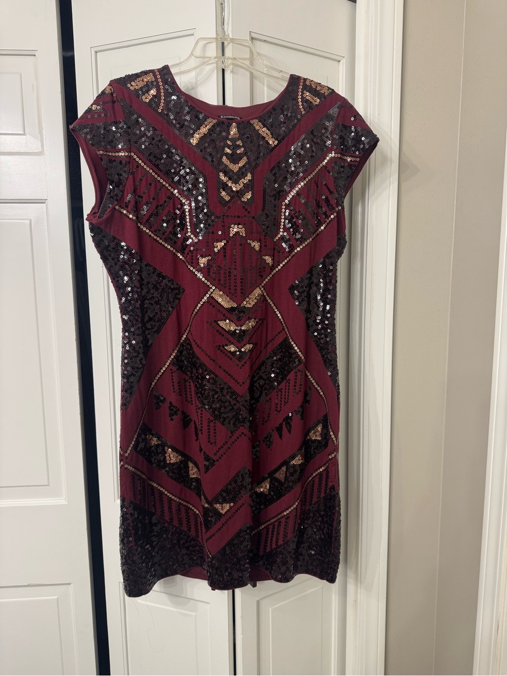 Express Burgundy Sequin-Patterned Mini Dress